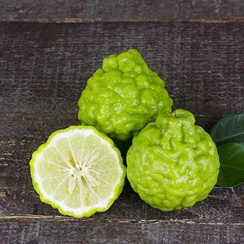 Bergamot Orange Seeds Citrus Bergamia Perennial Edible Ornamental Bonsai Tree 10Pcs Fruit Seeds Outdoor Patio