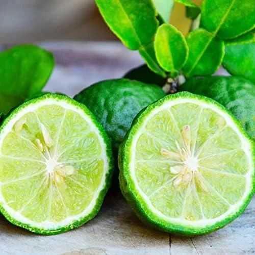 Bergamot Orange Seeds Citrus Bergamia Perennial Edible Ornamental Bonsai Tree 10Pcs Fruit Seeds Outdoor Patio - Image 2