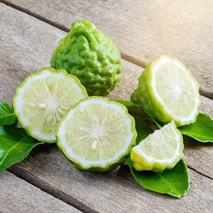 Bergamot Orange Seeds Citrus Bergamia Perennial Edible Ornamental Bonsai Tree 10Pcs Fruit Seeds Outdoor Patio - Image 5