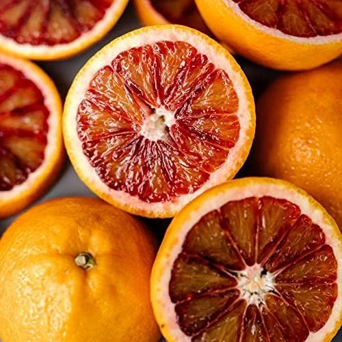 Blood Orange Tree Seeds - Fast Growing, Vitamin C Rich, Juicy Fruit - GMO Free - Indoor/Outdoor Patio & Container Planting - 20 Pcs - Image 3