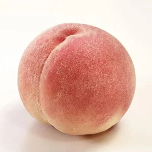 Dwarf Peach Tree Seeds, GMO Free Fruit Seeds for Small Gardens & Indoor Cultivation, 10 Pcs - Image 3