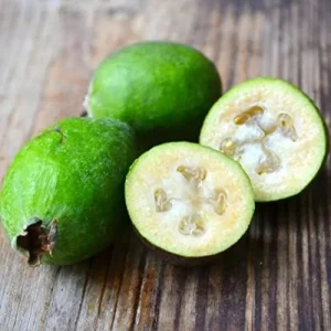 Feijoa Seeds Sweet Tangy Fruit Fragrant Flowers Hardy Ornamental Plant Drought Tolerant Garden Outdoor 40Pcs Fruit Seeds White - Image 3