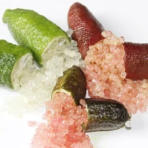 Alternative view of Finger Lime Seeds 20Pcs Non-GMO Evergreen Perennial Fruit Plant Green Red Pink