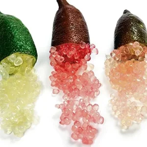 Finger Lime Seeds 20Pcs Non-GMO Evergreen Perennial Fruit Plant Green Red Pink - Image 3