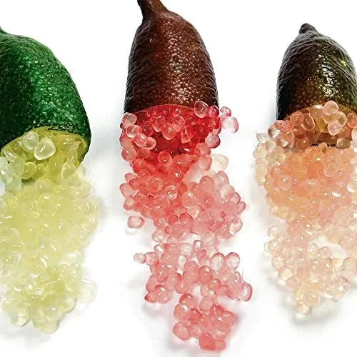 Finger Lime Seeds 20Pcs Non-GMO Evergreen Perennial Fruit Plant Green Red Pink - Image 3