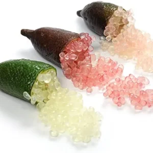 Finger Lime Seeds 20Pcs Non-GMO Evergreen Perennial Fruit Plant Green Red Pink - Image 5