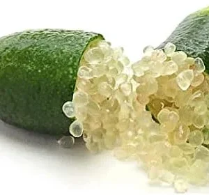 Finger Lime Seeds 20Pcs Non-GMO Evergreen Perennial Fruit Plant Green Red Pink - Image 6