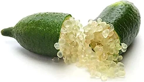 Finger Lime Seeds 20Pcs Non-GMO Evergreen Perennial Fruit Plant Green Red Pink - Image 6