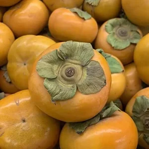 Alternative view of Fuyu Persimmon Seeds Diospyros Kaki Edible Sweet Fruit Tree Seeds 10 Pcs for Outdoor Planting