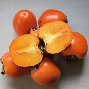 Fuyu Persimmon Seeds Diospyros Kaki Edible Sweet Fruit Tree Seeds 10 Pcs for Outdoor Planting - Image 3