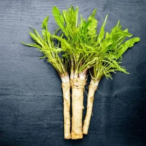 Alternative view of Horseradish Seeds 200 Count Perennial Vegetable GMO Free Outdoor Garden Containers