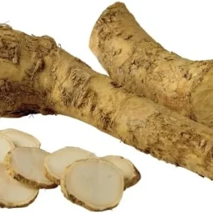 Horseradish Seeds 200 Count Perennial Vegetable GMO Free Outdoor Garden Containers - Image 4
