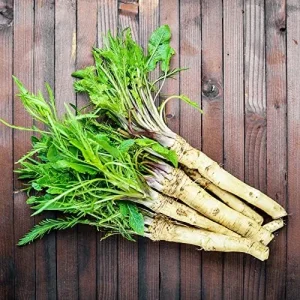 Horseradish Seeds 200 Count Perennial Vegetable GMO Free Outdoor Garden Containers - Image 6