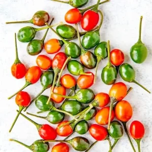 Alternative view of Hot Chili Pepper Seeds Fast-Growing GMO Free Outdoor Vegetable Garden 100 Count Green Red