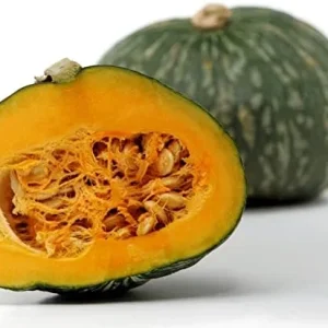 Alternative view of Kabocha Japanese Green Pumpkin Seeds 20 Ct Heirloom Open Pollinated Squash Seeds Green