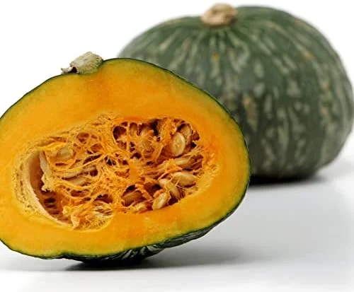 Kabocha Japanese Green Pumpkin Seeds 20 Ct Heirloom Open Pollinated Squash Seeds Green - Image 2
