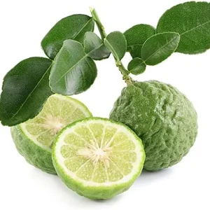 Kaffir Lime Seeds - Makrut Fruit Seeds for Outdoor Gardens - Fragrant Rind, Vitamin C Rich - 3 Pcs Organic