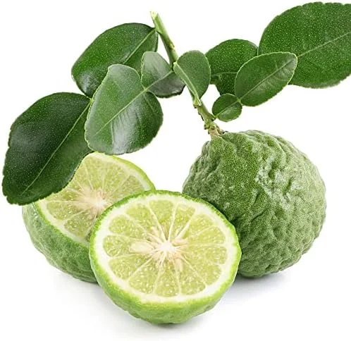 Kaffir Lime Seeds - Makrut Fruit Seeds for Outdoor Gardens - Fragrant Rind, Vitamin C Rich - 3 Pcs Organic
