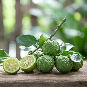 Kaffir Lime Seeds - Makrut Fruit Seeds for Outdoor Gardens - Fragrant Rind, Vitamin C Rich - 3 Pcs Organic - Image 5