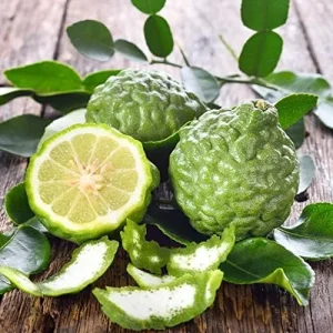 Kaffir Lime Seeds - Makrut Fruit Seeds for Outdoor Gardens - Fragrant Rind, Vitamin C Rich - 3 Pcs Organic - Image 6