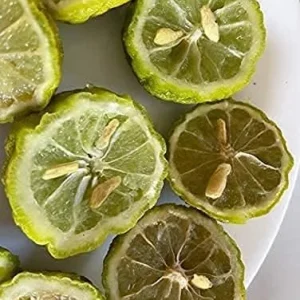 Kaffir Lime Tree Seeds 100 Pcs Fresh Warranty, Flower and Fruiting Citrus Hystrix - Image 3