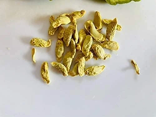 Kaffir Lime Tree Seeds 100 Pcs Fresh Warranty, Flower and Fruiting Citrus Hystrix - Image 5
