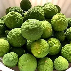 Kaffir Lime Tree Seeds 100 Pcs Fresh Warranty, Flower and Fruiting Citrus Hystrix - Image 7