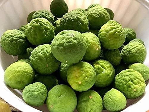 Kaffir Lime Tree Seeds 100 Pcs Fresh Warranty, Flower and Fruiting Citrus Hystrix - Image 7