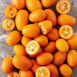 Kumquat Fruit Seeds Citrus Japonica Sweet-Tart Rind Fragrant Flowers Outdoor Garden 5-Count White - Image 4