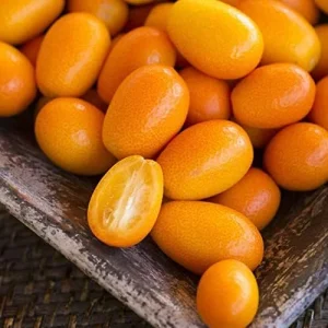 Kumquat Fruit Seeds Citrus Japonica Sweet-Tart Rind Fragrant Flowers Outdoor Garden 5-Count White - Image 5