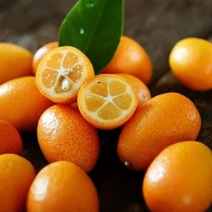 Kumquat Fruit Seeds Citrus Japonica Sweet-Tart Rind Fragrant Flowers Outdoor Garden 5-Count White - Image 6