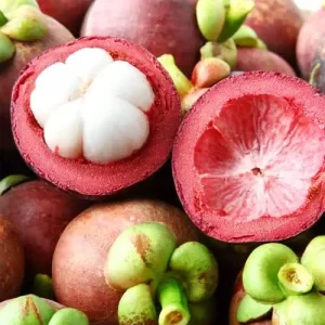 Mangosteen Seeds 90 Count Sweet Evergreen Tropical Fruit Seeds for Garden Backyard Outdoor GMO Free Brown - Image 5