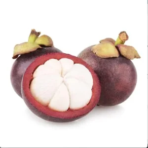 Mangosteen Seeds 90 Count Sweet Evergreen Tropical Fruit Seeds for Garden Backyard Outdoor GMO Free Brown - Image 6