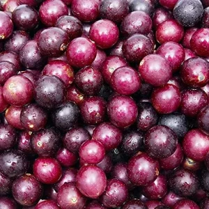 Muscadine Grape Seeds Climbing Vine Per20Pcs Fruit Seeds Perennial Sweet Flavor Fast Growing Tasty Juice Rich in Vitamins for Arbors Pergolas Trellises Outdoor