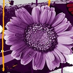 Purple Sunflower Seeds, Ornamental Flower Seeds, 25 Count, Purple, Non-GMO - Image 7