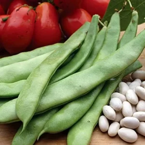 Romano Pole Bean Seeds - Italian Flat Bean - Tender Texture, Rich Flavor - Green Vegetable Seeds - 100 Count - Outdoor Garden Planting - Image 5