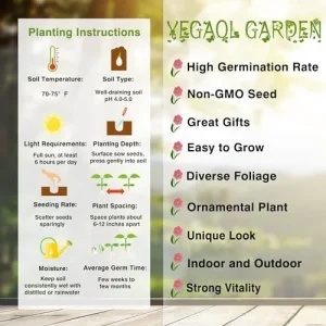 Sundew Seeds Drosera Carnivorous Plant Seeds - 30 Pcs Green Ornamental Indoor Outdoor Insect Trapping