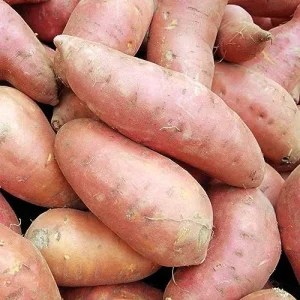 Sweet Potato Seeds Non-GMO Vegetable Seeds for Home Garden 50 Count Orange - Image 3
