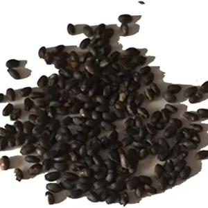 Venus Flytrap Seeds 100Pcs - Dionaea Muscipula Carnivorous Plant Seeds for Home Garden Bonsai Full Sun Acidic Soil - Image 5