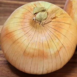 Alternative view of Vidalia Onion Seeds 200Pcs Non-GMO Heirloom Untreated Fresh Fast Growing for Backyard Country Balcony