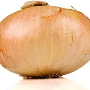 Vidalia Onion Seeds 200Pcs Non-GMO Heirloom Untreated Fresh Fast Growing for Backyard Country Balcony - Image 4