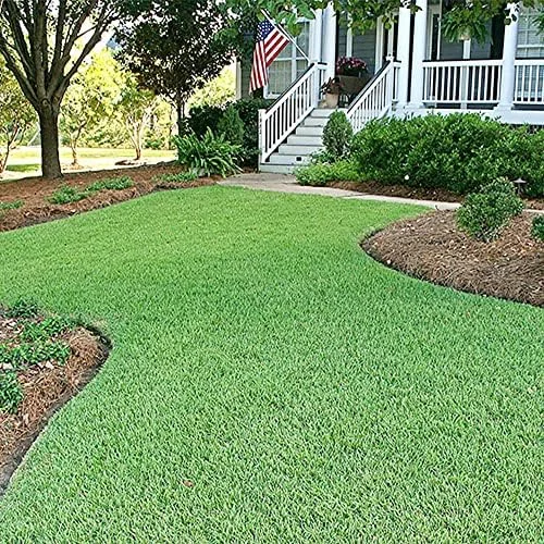 Zoysia Grass Seeds Warm-Season, Dense Carpet-Like Growth, Fine Texture, Durable Lawn & Landscape Applications, 1/8 lb, Brown, GMO Free - Image 6