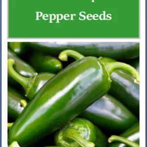 Alternative view of Tam Jalapeno Pepper Seeds – Non-GMO & Heirloom – 25 Seeds – Outdoor